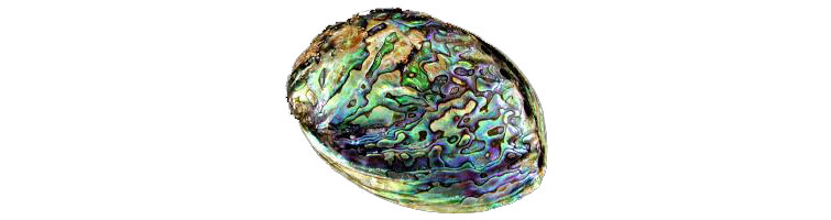 abalone jewelry care